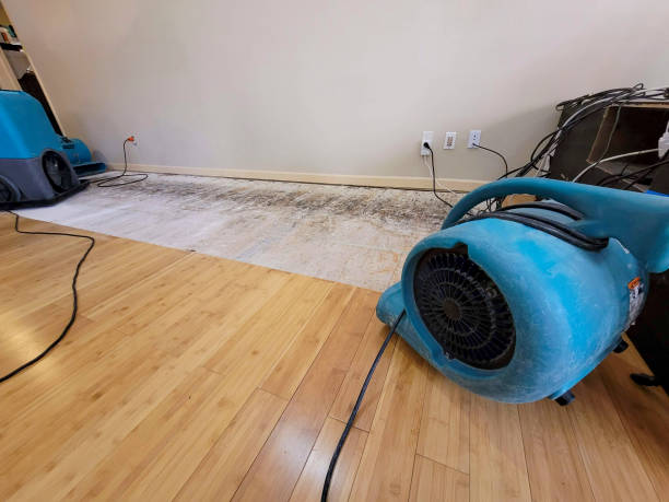 Professional Water Damage Repair technician working in Corte Madera, CA